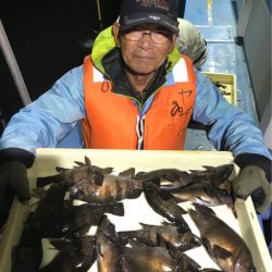 ヤザワ渡船 釣果