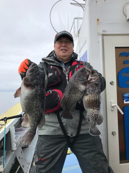 シーランチ 釣果