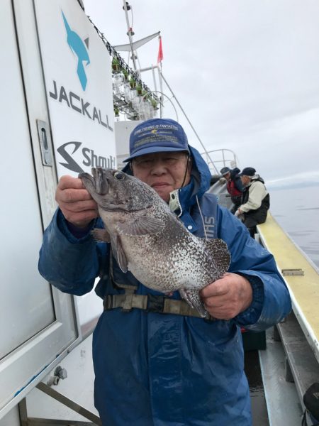 シーランチ 釣果