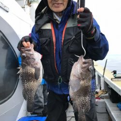 シーランチ 釣果