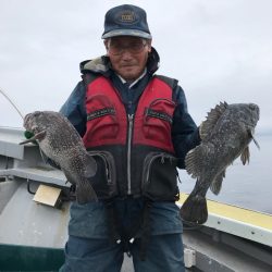 シーランチ 釣果