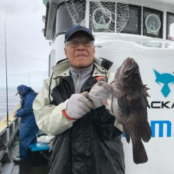 シーランチ 釣果