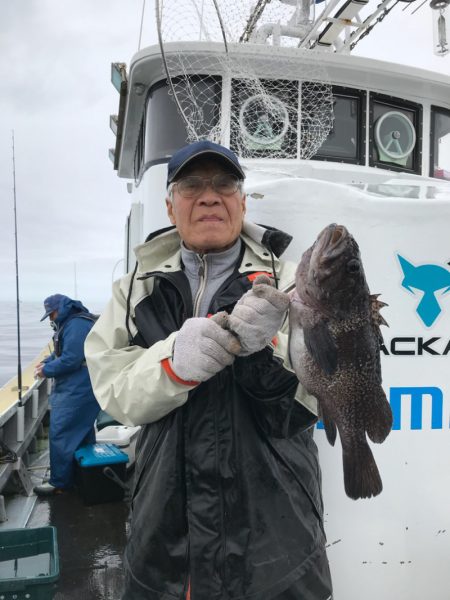 シーランチ 釣果