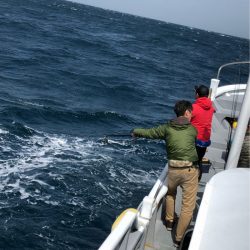 ＴＡＲＯＭＡＲＵ 釣果