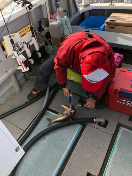 ＴＡＲＯＭＡＲＵ 釣果