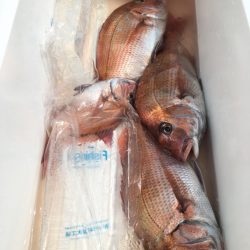 第二八坂丸 釣果