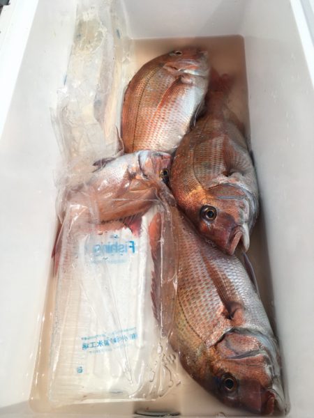 第二八坂丸 釣果