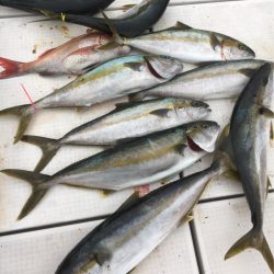 海楽隊 華栞丸 釣果