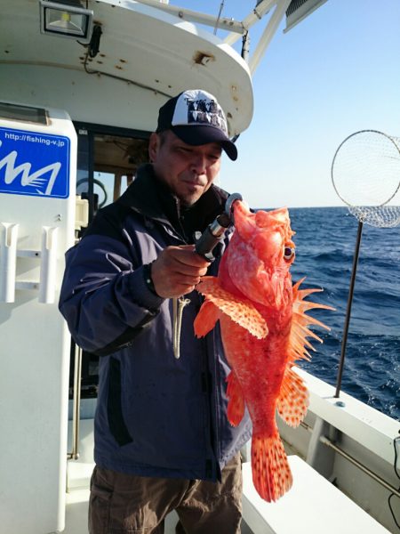 エンペラー 釣果