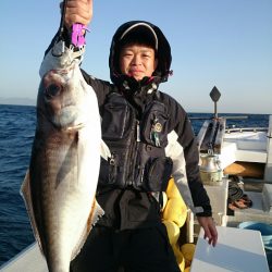 エンペラー 釣果