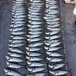 SeaRide(シーライド) 釣果