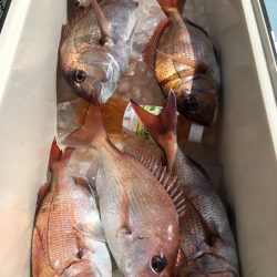 第二八坂丸 釣果