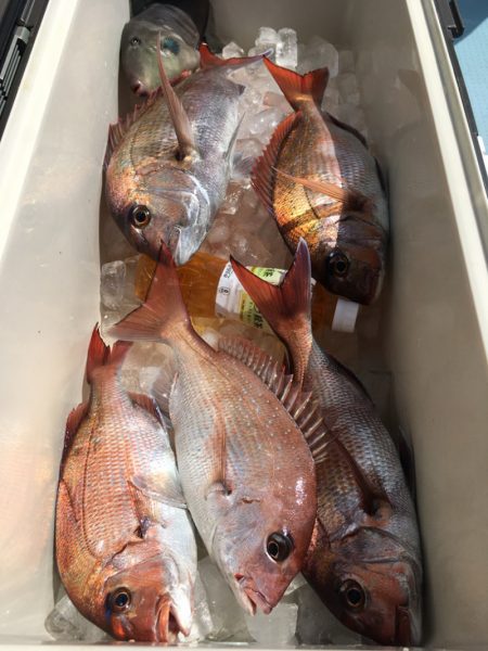 第二八坂丸 釣果