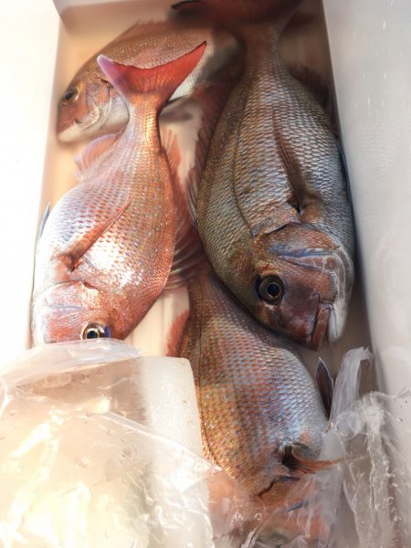 第二八坂丸 釣果