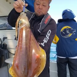 ソルトウォーターガイドフレンズ 釣果