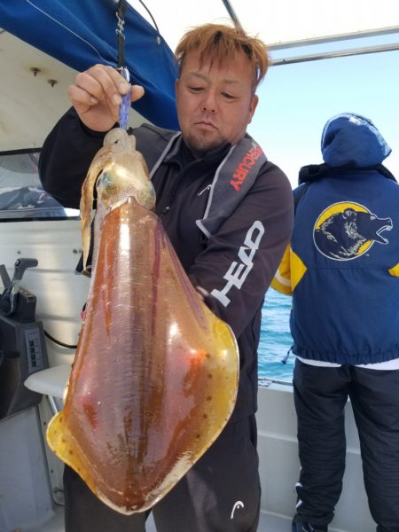 ソルトウォーターガイドフレンズ 釣果