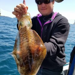 ソルトウォーターガイドフレンズ 釣果