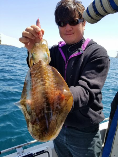 ソルトウォーターガイドフレンズ 釣果