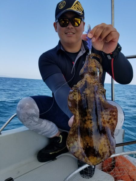 ソルトウォーターガイドフレンズ 釣果