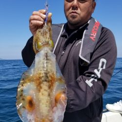 ソルトウォーターガイドフレンズ 釣果