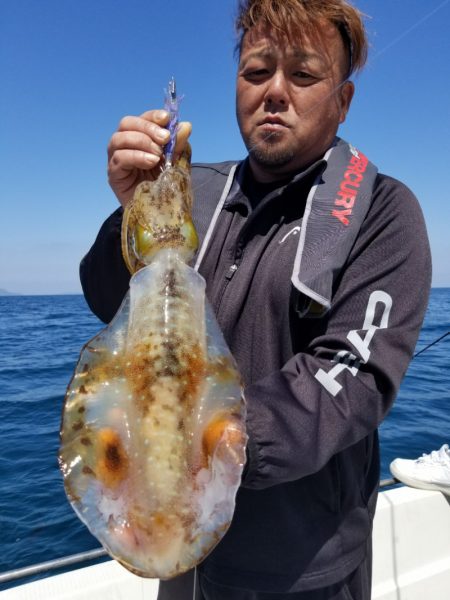 ソルトウォーターガイドフレンズ 釣果