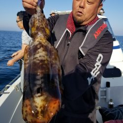 ソルトウォーターガイドフレンズ 釣果