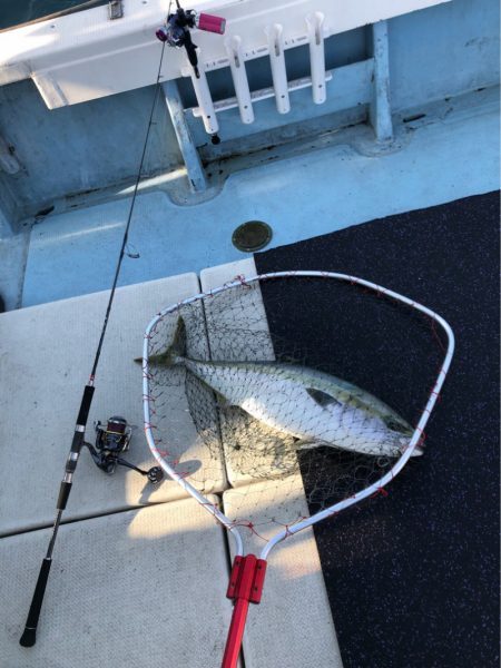 あみや渡船 JIGBOY 釣果