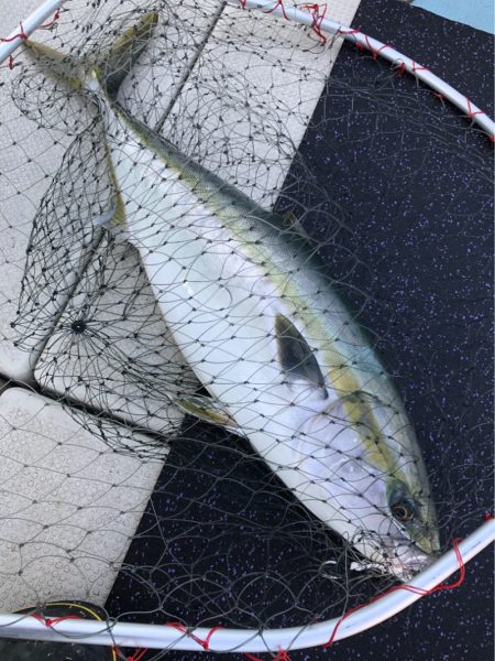 あみや渡船 JIGBOY 釣果