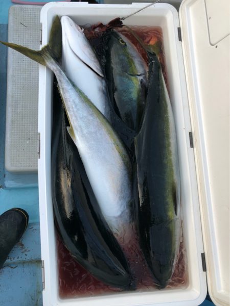 あみや渡船 JIGBOY 釣果