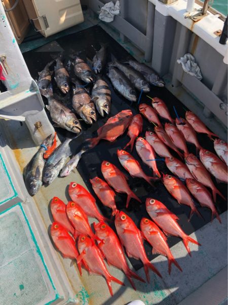 ＴＡＲＯＭＡＲＵ 釣果