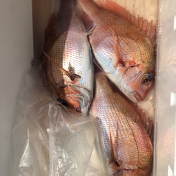 第二八坂丸 釣果