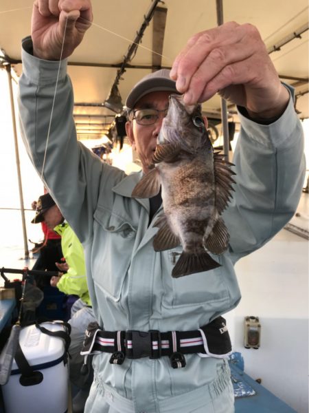 ヤザワ渡船 釣果