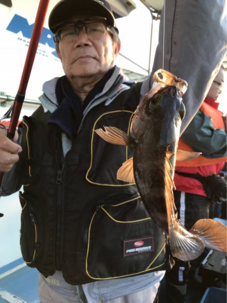 ヤザワ渡船 釣果