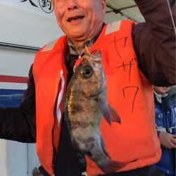 ヤザワ渡船 釣果