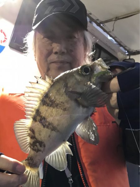 ヤザワ渡船 釣果