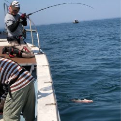 あみや渡船 JIGBOY 釣果