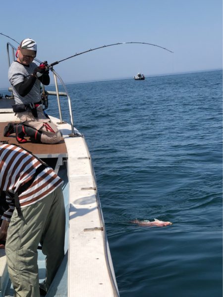 あみや渡船 JIGBOY 釣果
