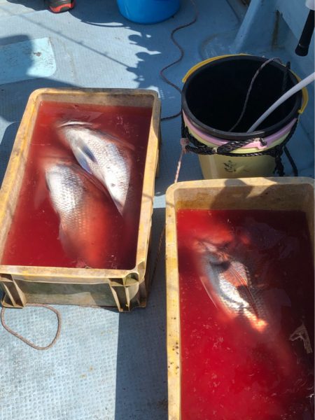 あみや渡船 JIGBOY 釣果