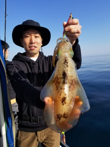 ソルトウォーターガイドフレンズ 釣果