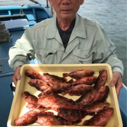 ヤザワ渡船 釣果