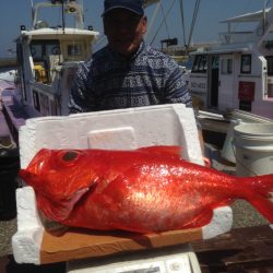 晃山丸 釣果