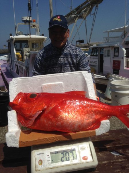 晃山丸 釣果