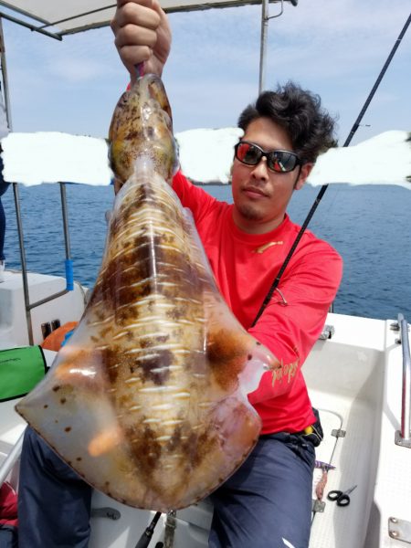 ソルトウォーターガイドフレンズ 釣果