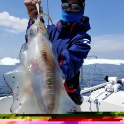 ソルトウォーターガイドフレンズ 釣果