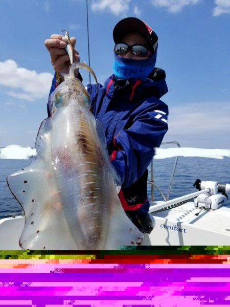 ソルトウォーターガイドフレンズ 釣果