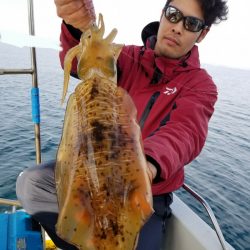 ソルトウォーターガイドフレンズ 釣果