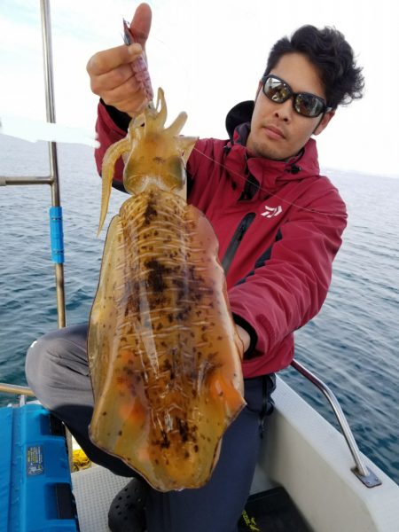 ソルトウォーターガイドフレンズ 釣果