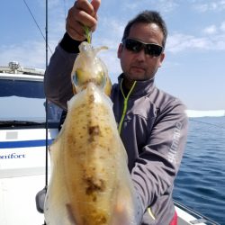 ソルトウォーターガイドフレンズ 釣果