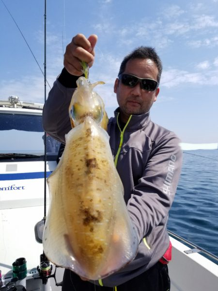 ソルトウォーターガイドフレンズ 釣果