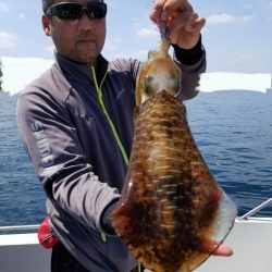 ソルトウォーターガイドフレンズ 釣果